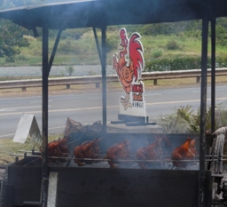 Chicken on the grill