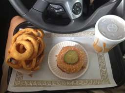 BBQ Sandwich and Onion Rings