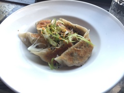 The Vegretarian Dumplings at the Toki Underground