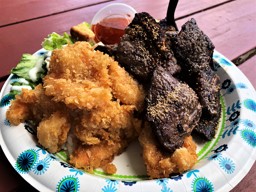BBQ Short Ribs & Crunchy Shrimp Combo - Big Wave Shrimp on the North Shore