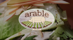 arable logo from their website