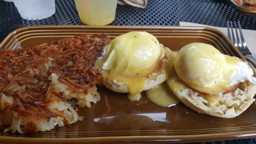 Eggs Benedict
