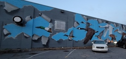 Flyway Brewing