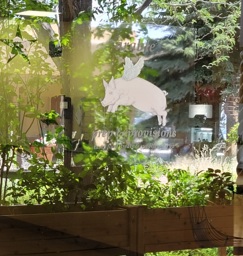 Arable Outside Window