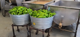 Fresh Peppers  at La Colonial Tortilla Factory