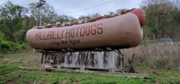 Hillbilly Hot Dogs Signature Logo
