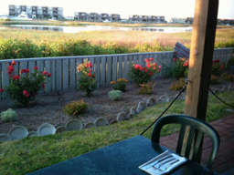 a look out back