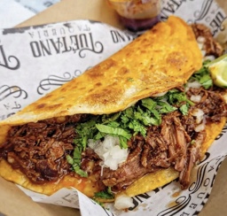 Birria Quesadilla
