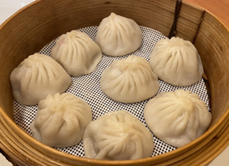 Pan-Fried Pork Dumplings