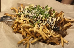 Bulgogi Fries