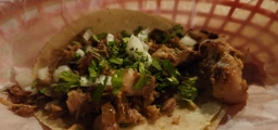Taco Gordo