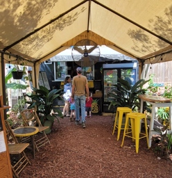Irie Island Eats Tunnel View