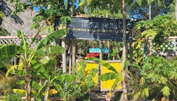 Irie Island Eats Outside View