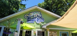Leaping Lizards Café Outside View