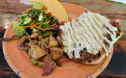 Leaping Lizards Café Open Face Tuna Melt Sandwich