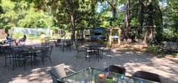 Leaping Lizards Café Back Patio