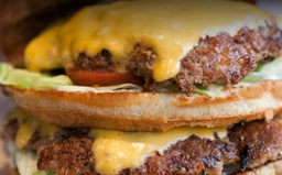 mighty fine burger