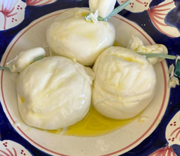 Fresh handmade bufala burrata tied by hand