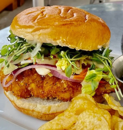 crispy chicken sandwich