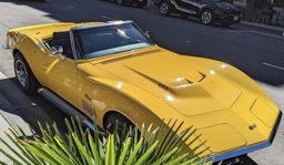 guy fieri with a yellow corvette