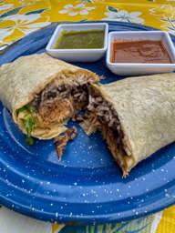 Carnitas Burrito