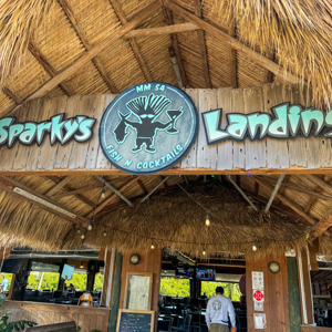 The Sign
