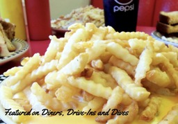 that's a good looking plate of fries