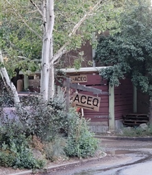 ACEQ Restaurant