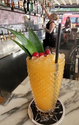 KINDRED