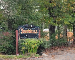 Darwell's Café
