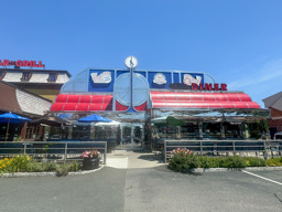 The spot!