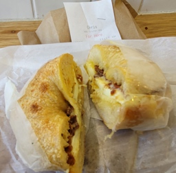 Bagelsaurus