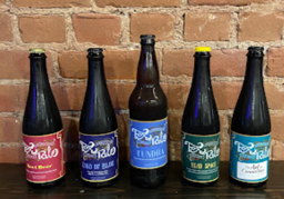 Fox Tale Fermentation Project Ale's