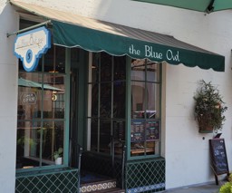 The Blue Owl Street View