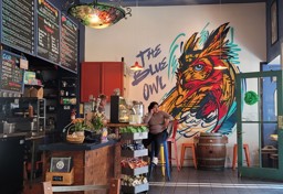 The Blue Owl Counter View