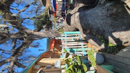 Indigo Coastal Shanty