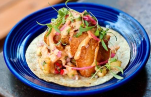 The Golden Bear Fish Taco