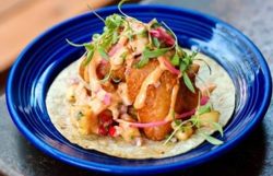 The Golden Bear Fish Taco